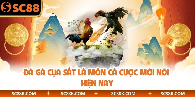 Đá gà cựa sắt là môn cá cược mới nổi hiện nay